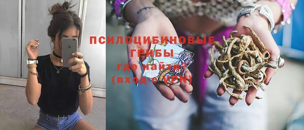 винт Бородино